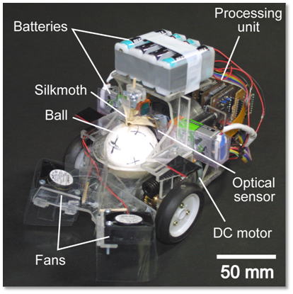 Insect Biocomputer Invertebrate Brain Platform