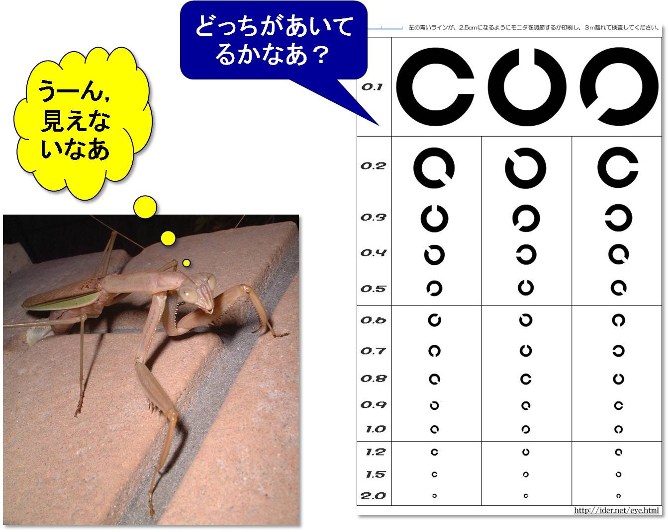 B 5 Htmldocs Invertebrate Brain Platform B 5 Htmldocs Invertebrate Brain Platform