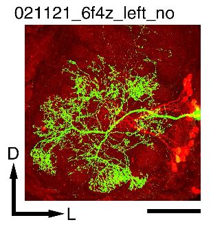 021121_6_no - newdb5 - Invertebrate Brain Platform